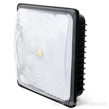 LED Canopy Light Fixture